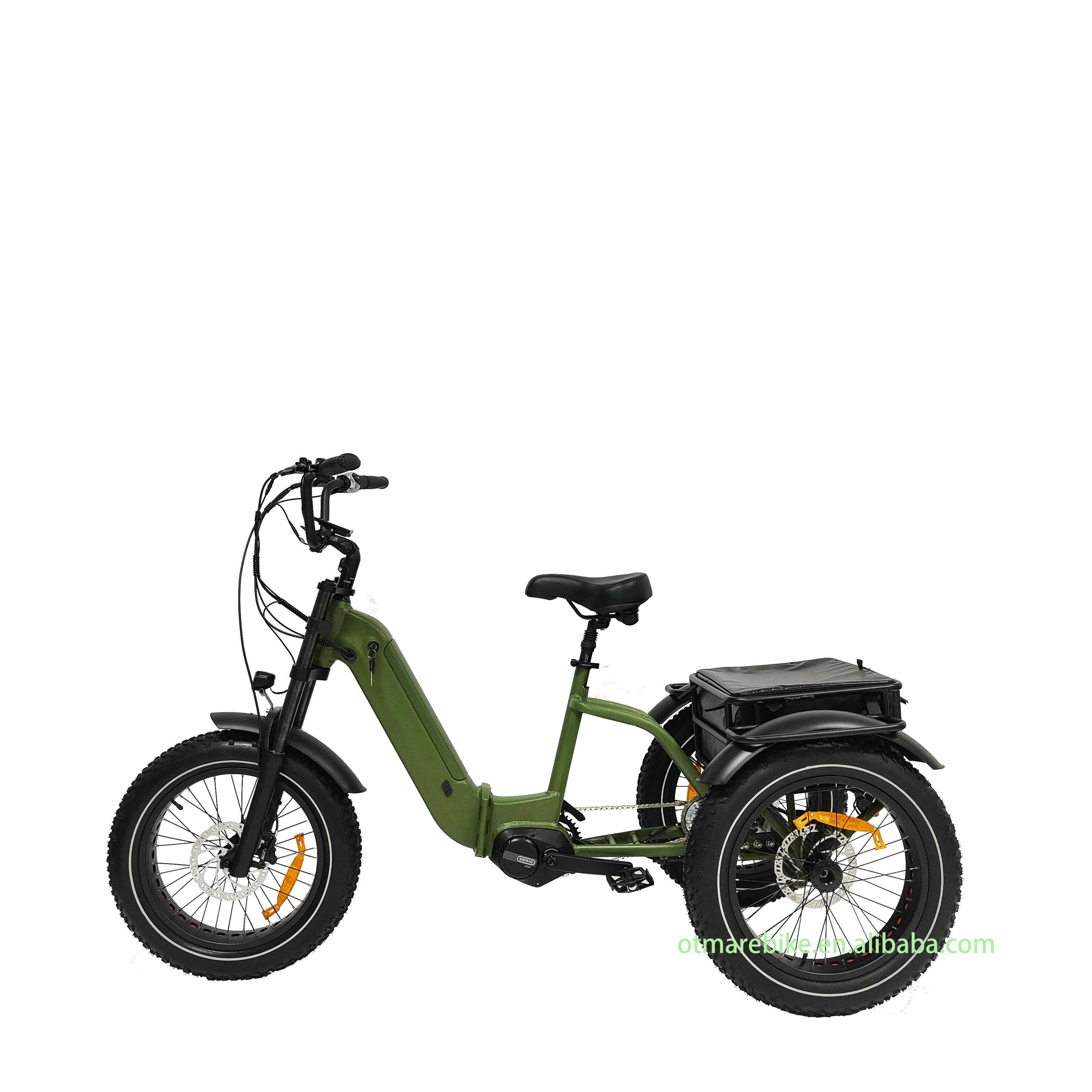 Custom 3 Wheel Fat Tire Electric Bicycle New Electric Tricycle Three Wheel Electric Bike Double Battery trike