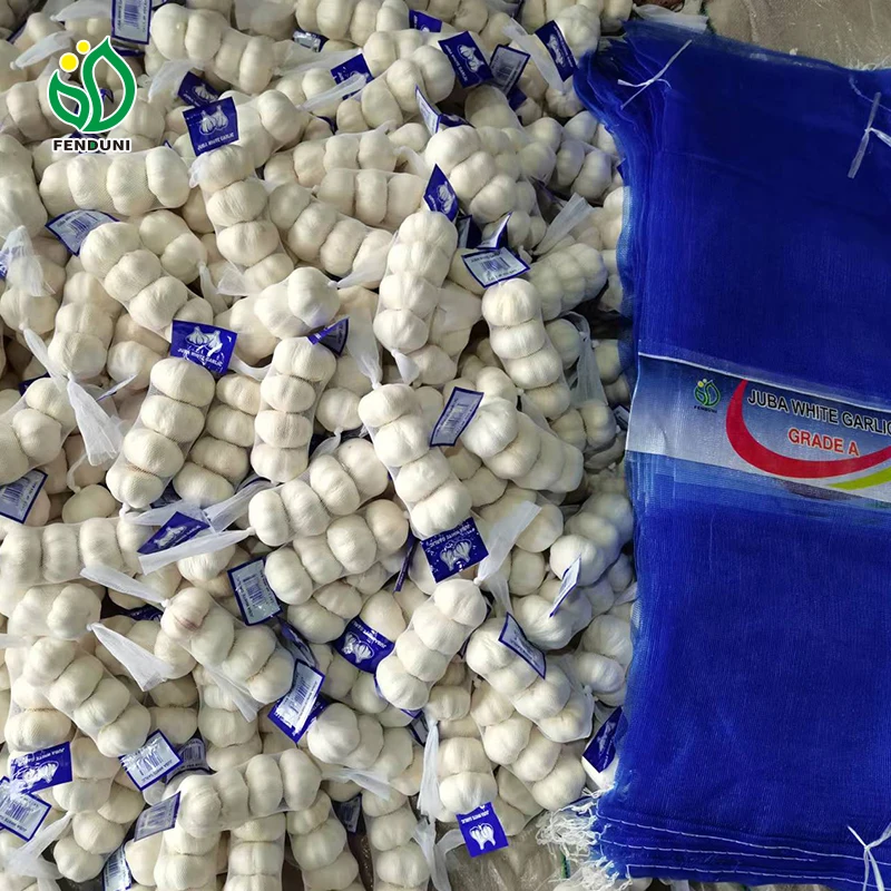 G1 garlic in China ajo ail bawang putih garlic wholesaler normal white garlic