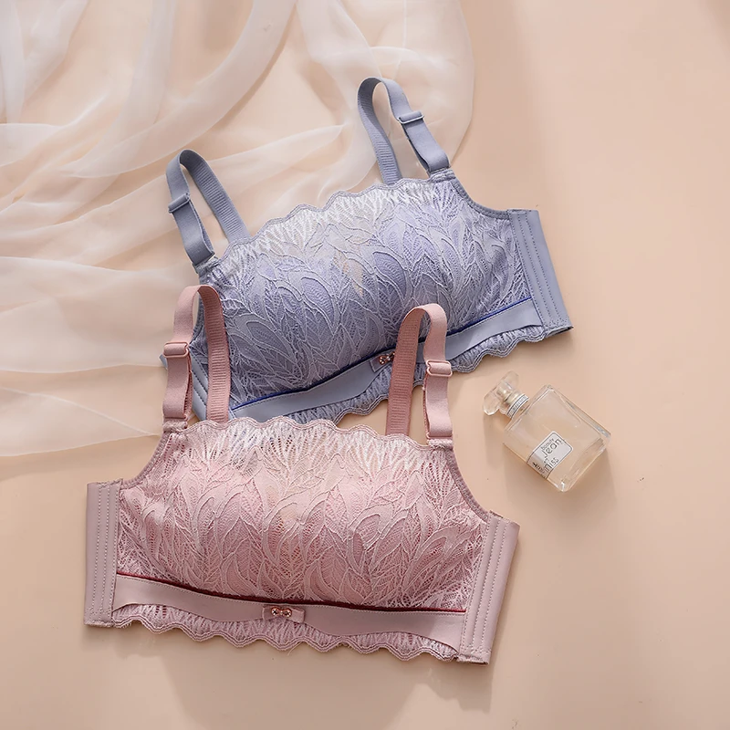 Dropshipping Bra for Women Breathable Tube Top Sexy Lace Wireless Bra Ladies Underwear