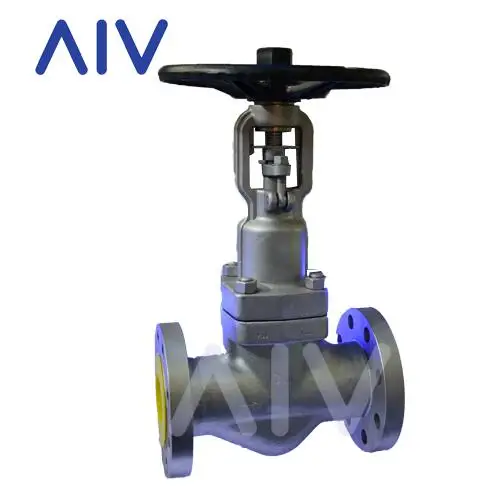  High Quality Wenzhou Manufacturer AIV Double Seal Design A105N F304 F316 Forged Steel Bellow Globe