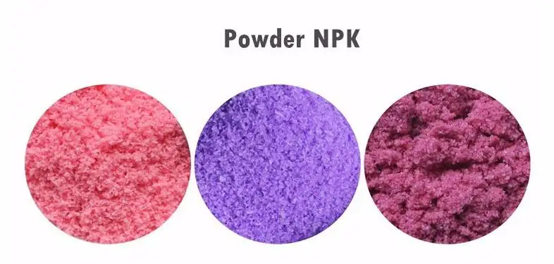cheap High Quality Gel Suspension Npk Liquid Fertilizer Npk 20-20-20 With Micro Elements Water Soluble Liquid Fertilizer