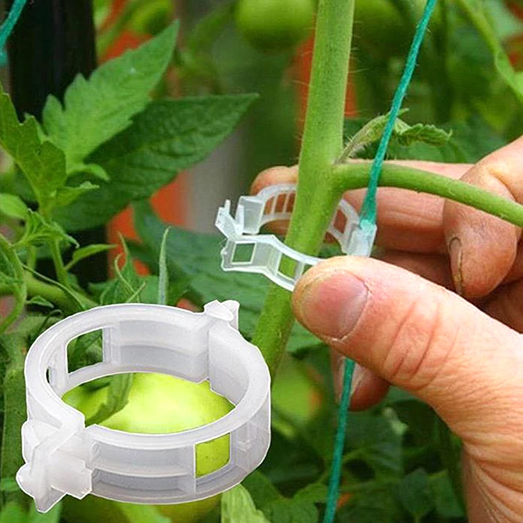 24mm Biodegradable White and Black Tomato Clips Plant Support Clips Plastic Vine Clips for Garden Tomato Support Use