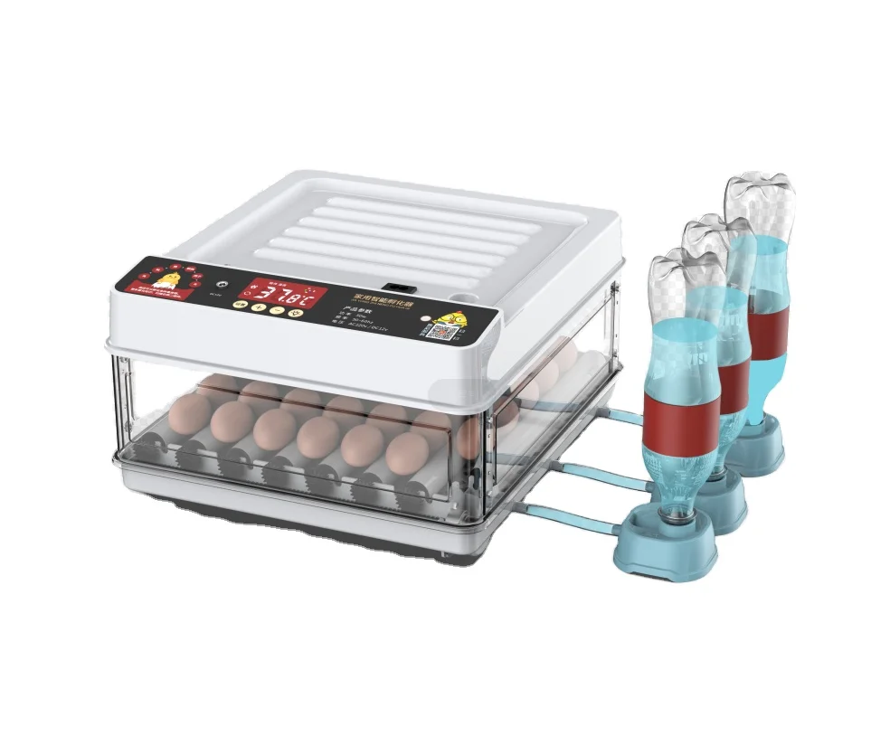 Dual power supply 12V egg incubator for battery power 48 eggs