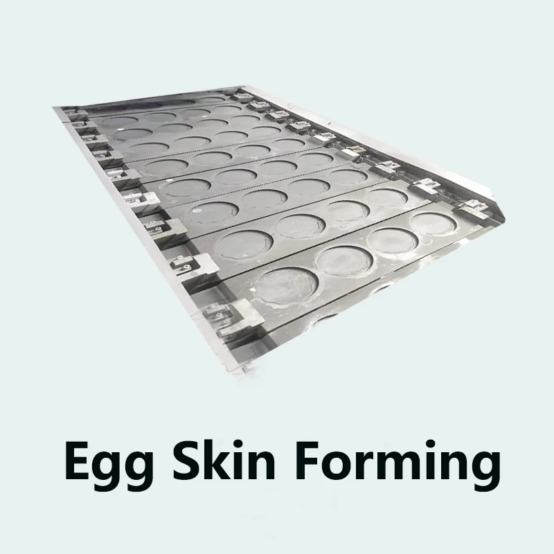 Wholesale Price Stainless 304 Material Stable Egg Dumpling Machine Automatic Maker for Industry