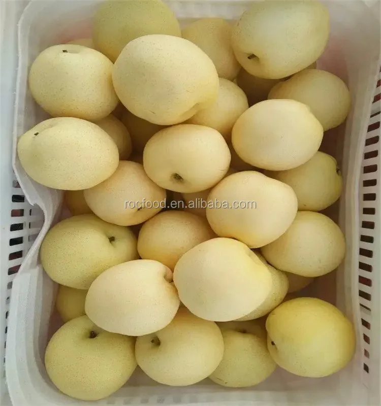 Китайские груши Ya pears