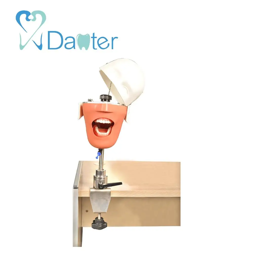 Моделирующая голова-манекен, Настольная простая модель фантомной головки для обучения стоматологу, 2 типа