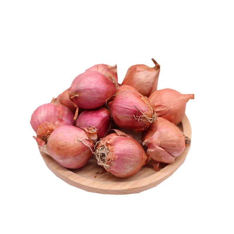 chinese yellow onions ferma onion vegetable the quality onion seeds for sale