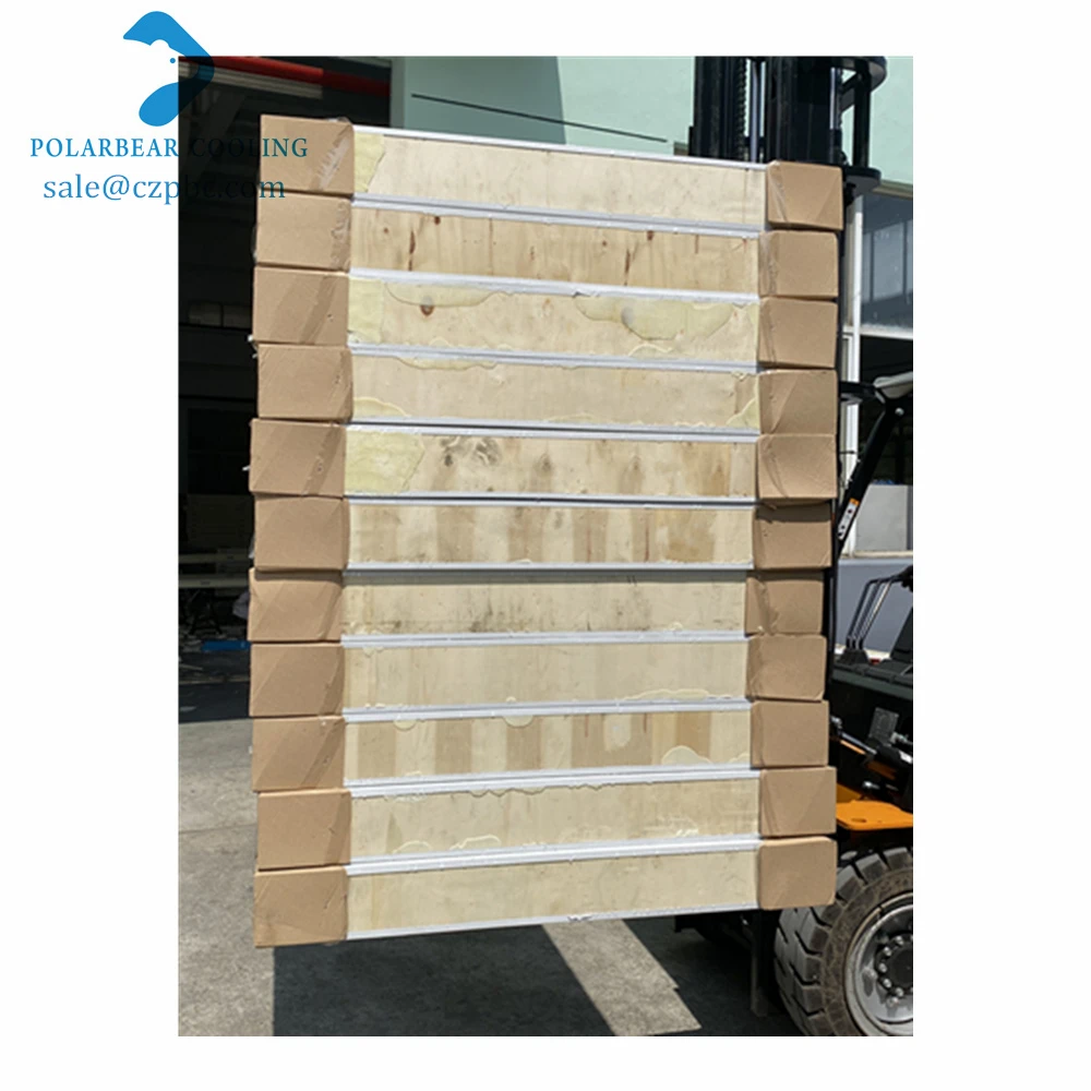Fire Insulation Polyurethane Panels for Cold Room PU Sandwich Panel Camlock Board