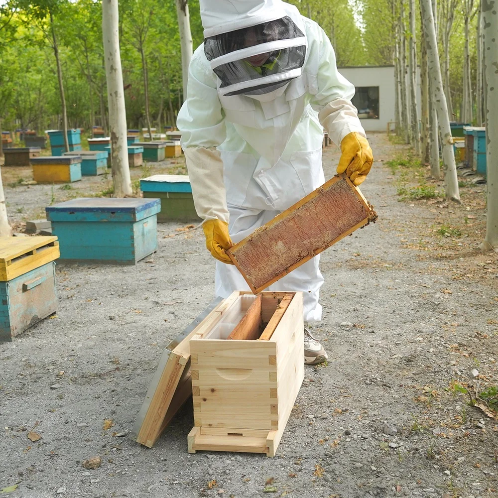 Queen Rearing Beehive 5 Frame Nuc Box For Beekeeping Nuc Box Beehive