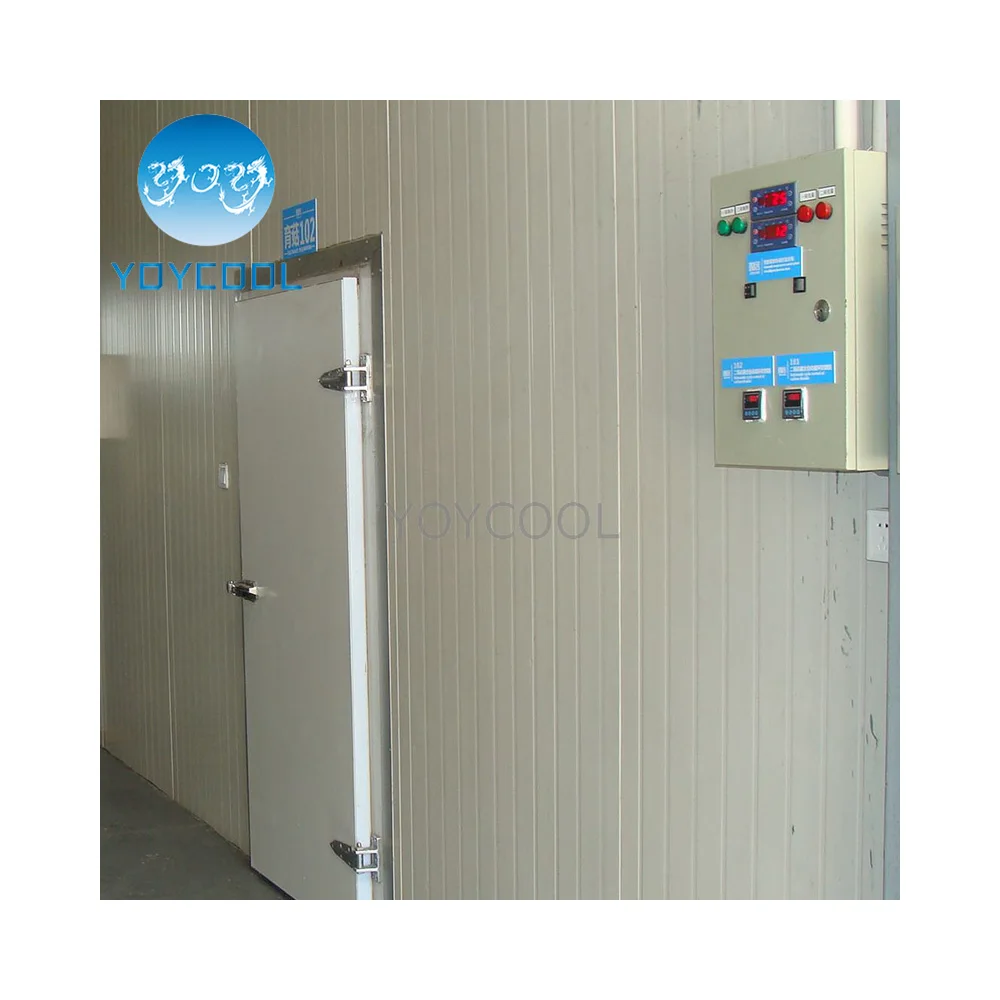 mini room cooler Panama cold storage room for Donkey meat storage