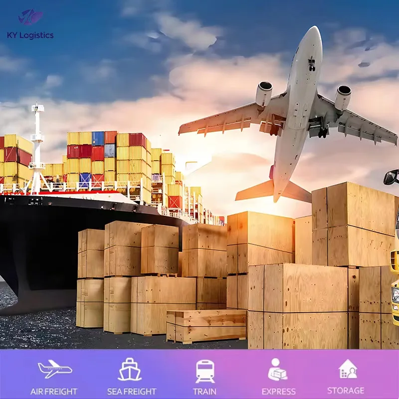 International Quality Sea Logistics LCL Dropshipping from China to Nigeria South Africa