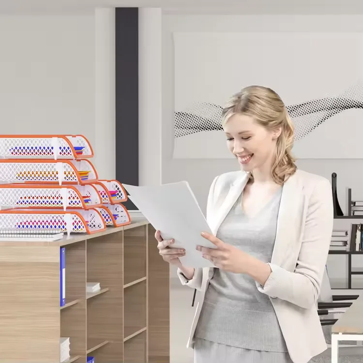 Made In China Quality White Simple Desktop Organizer Pp Material Durable File Storage Racks