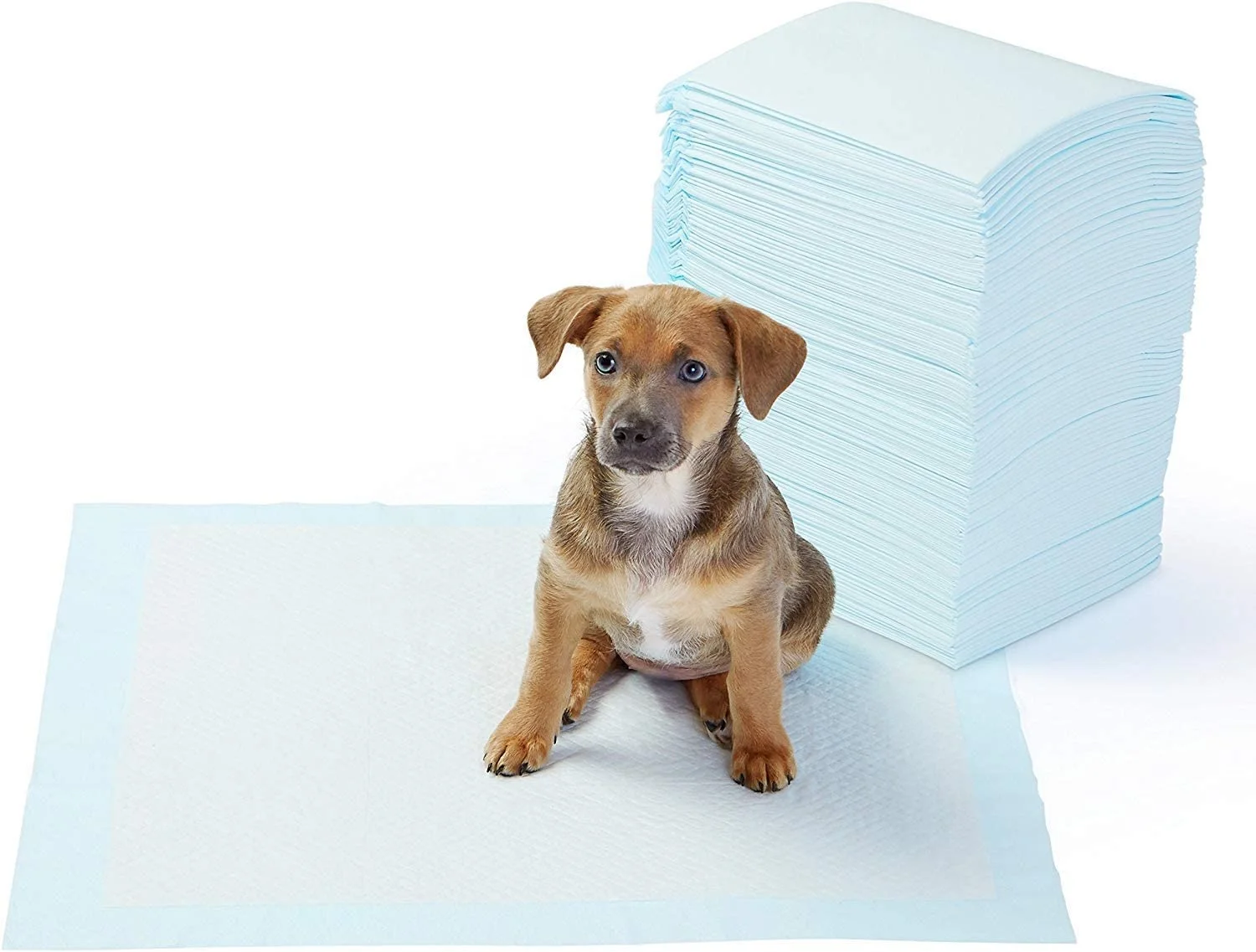 Amazon Basics Dog and Puppy Pads Disposable Pet Potty Pad Absorbent Quick-dry Surface for