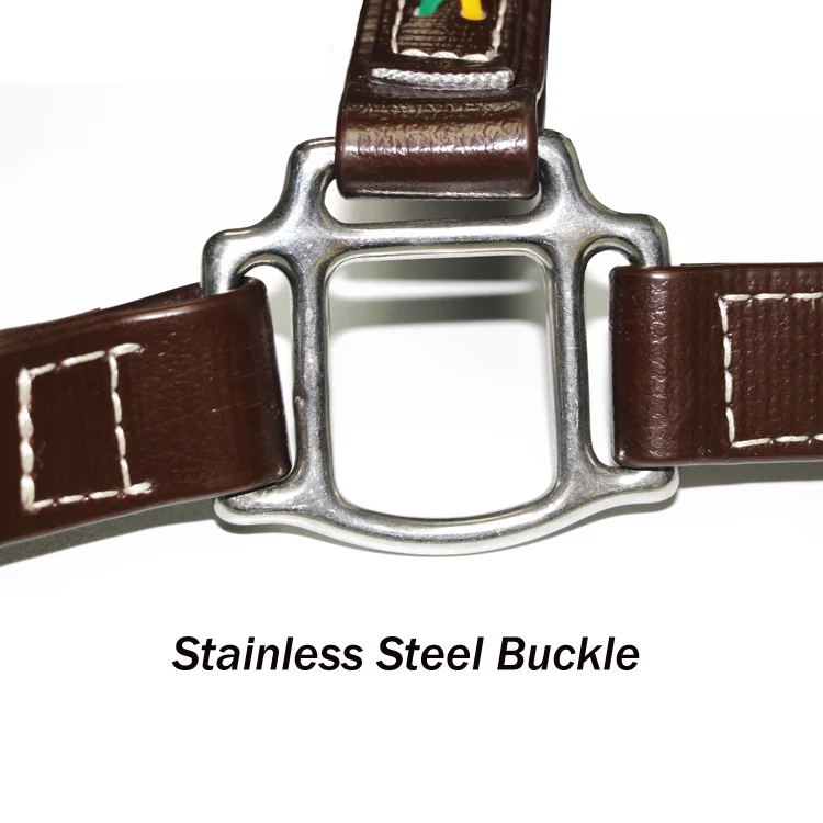 Arabian Design Your Own Waterproof PVC Leather Grain Padded Miniature Horse Show Halter Manufacturer