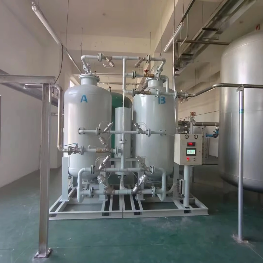 High Purity Molecular Sieve Bed Hydrogen psa Oxygen Plant Prices Portable Cheap Nitrogen Gas Generator Hot Sale