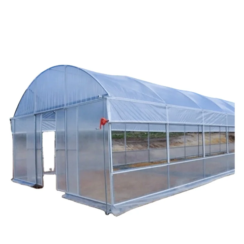 Single span greenhouse green house hydroponic system agricultural products greenhouses for sale