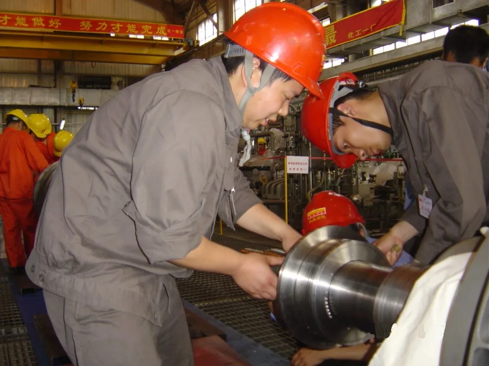 OEM Double Mechanical Pump Shaft Seal Centrifugal Compressor Dry Gas Seal  Natural Gas Reciprocating Compressor Pressure Seal