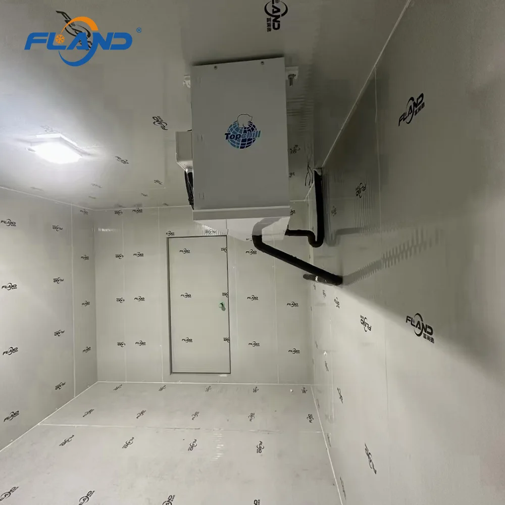 China good hinged door cold room reefer frozen room cold storage freezer room