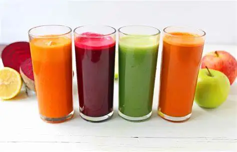 200kg/h Small fruit  juice production line / vegetable juice  processing line