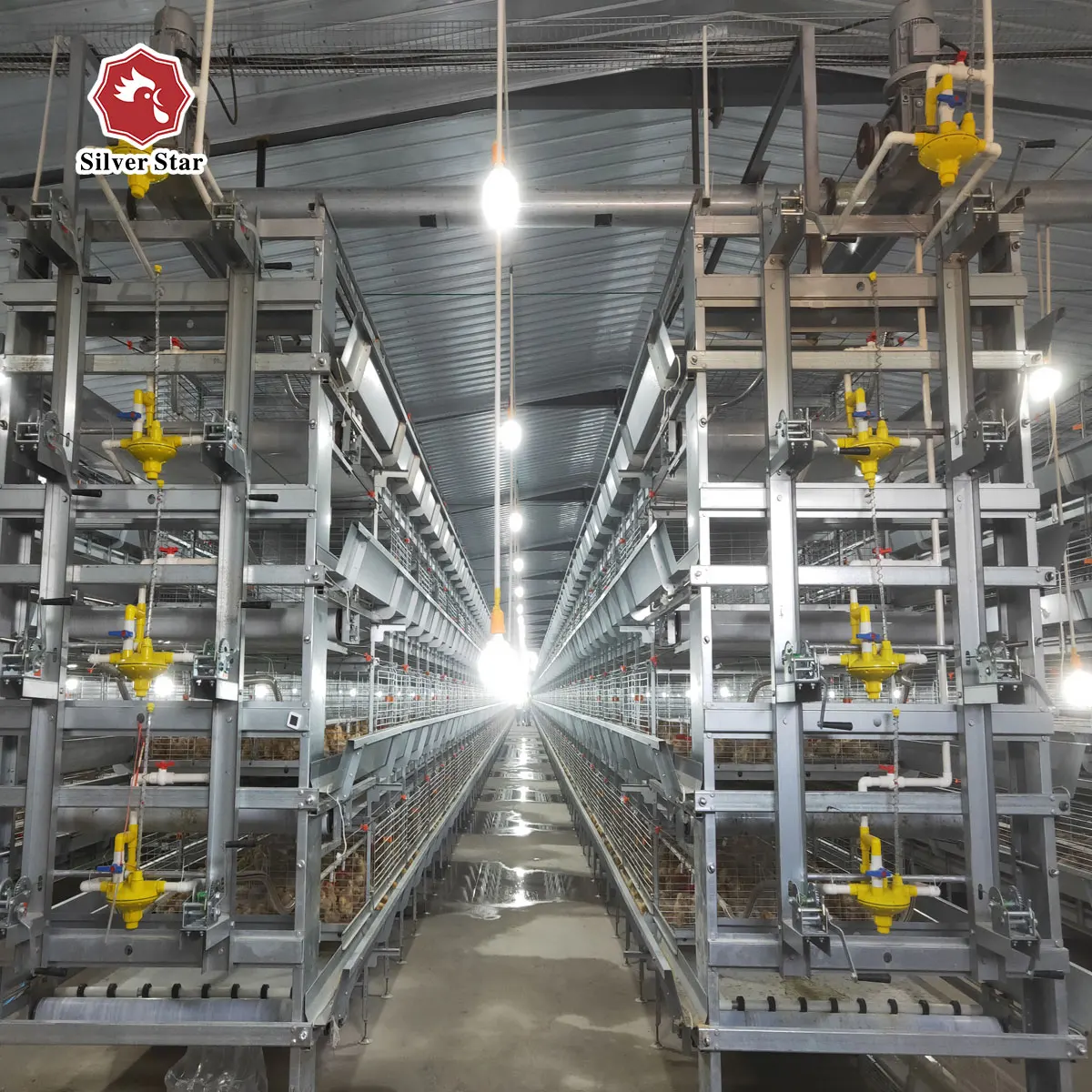 3.2 mm Thickness Famous Large Animal Chicken Cage With CE Certificate For Animal Chicken Farm