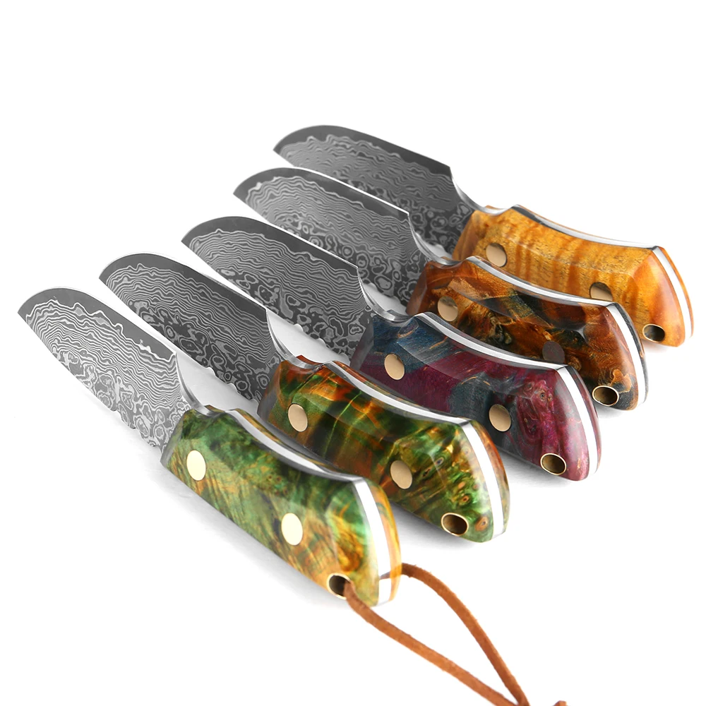 Handmade Damascus Fruit Knife Damascus Steel Blade Hunting Skinning Knife Fixed Blade Camping Survival Knife With Leather Sheath