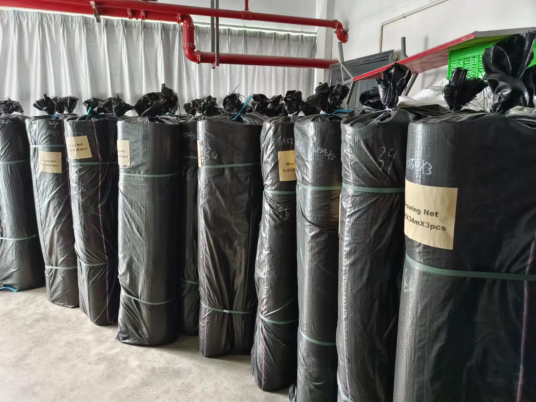 Hot Sale Portobello Mushrooms  Growing Nets/nursery Bed Nets For Mushroom Automated Cultivation