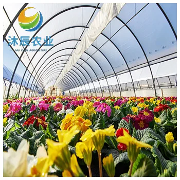 Cheap Price Film Greenhouse / Multi-span Greenhouse For Sale