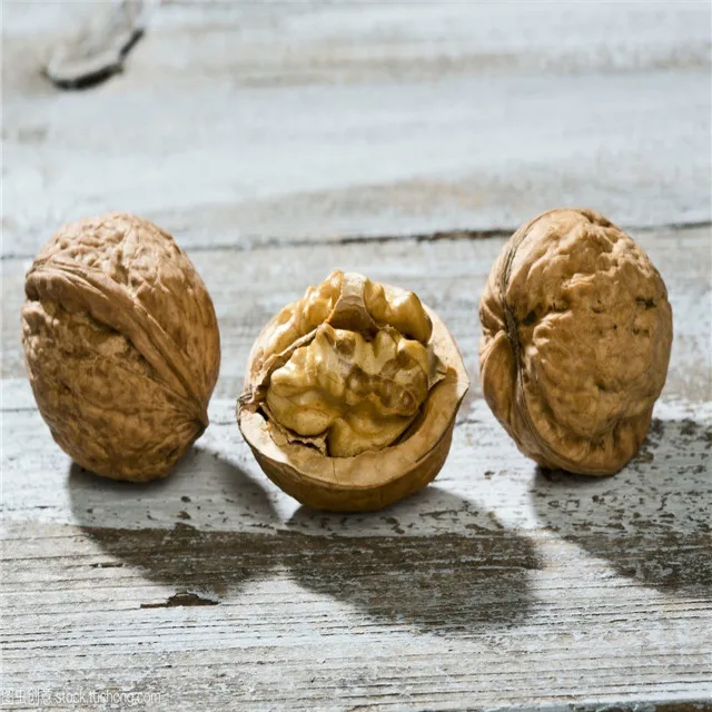 2021 New Crop Harvest Walnut/Walnut in Shell Food Chinese Export Inshell Shelled