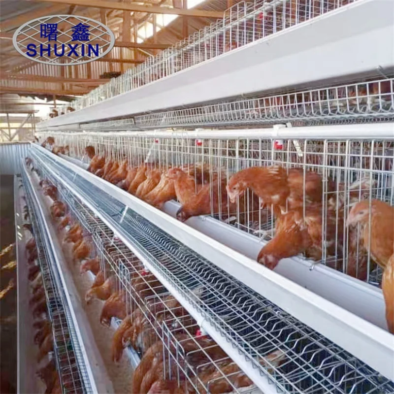4 Tier 128 Layer Chicken Cages Poultry Farming Battery Price For 500/1000/3000 Chickens Farm