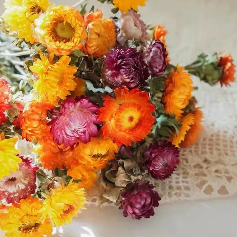 JDFG-64 20pcs Preserved Chrysanthemum Flower Arrangement Dry Plant Daisy Dried Flowers Bouquet Dried Chrysanthemum For Home