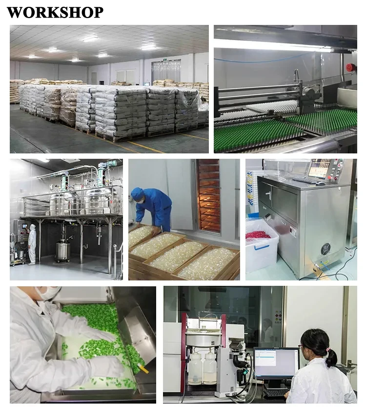 Transparent Medicine HPMC Vegetable Capsules Shell Size 000 00 0 1 2 3 4 Halal Veggie Veggan Vegetarian Natural Empty Capsules