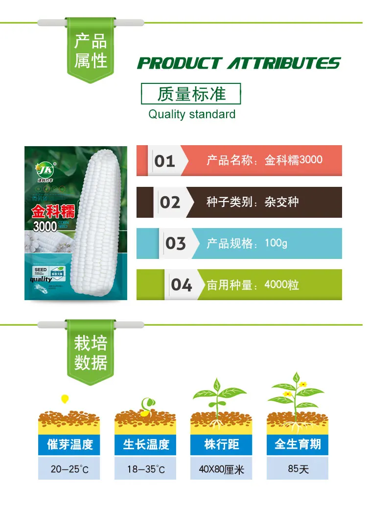 
Wholesale quality hybrid white sweet corn seed for planting 