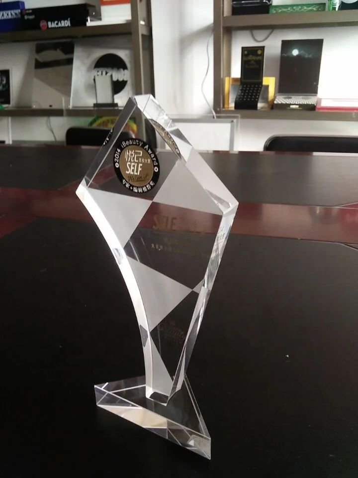 Factory Supplier Acrylic Material Award Customized Plaques Modeling Trophy