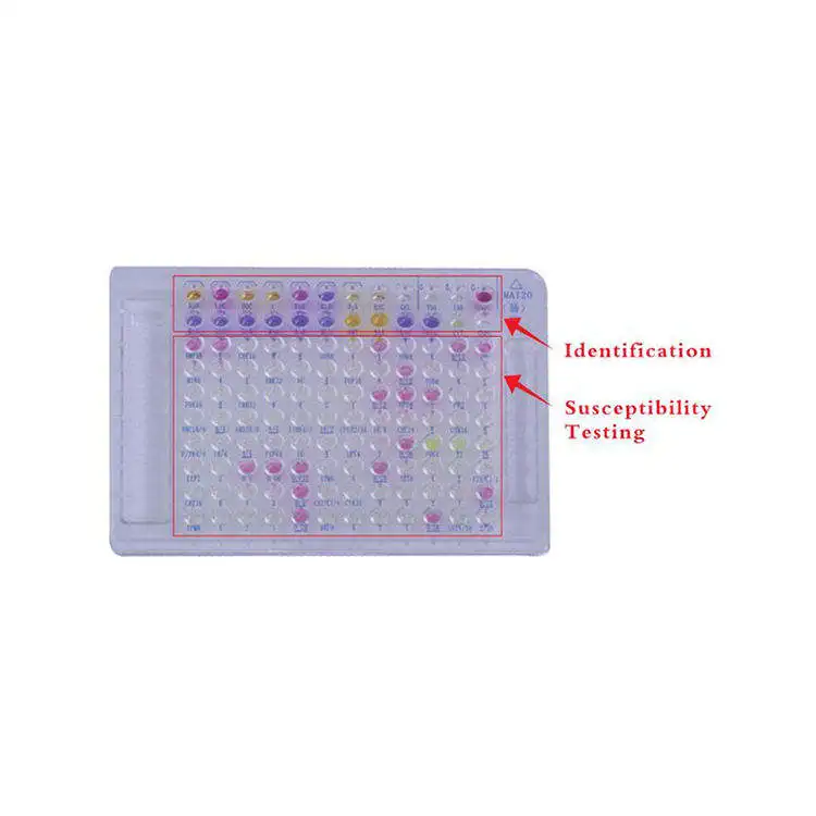 Chinese Well-Known Manufacturers Professional Sales Laboratory Reagent Diagnostic Test Kit