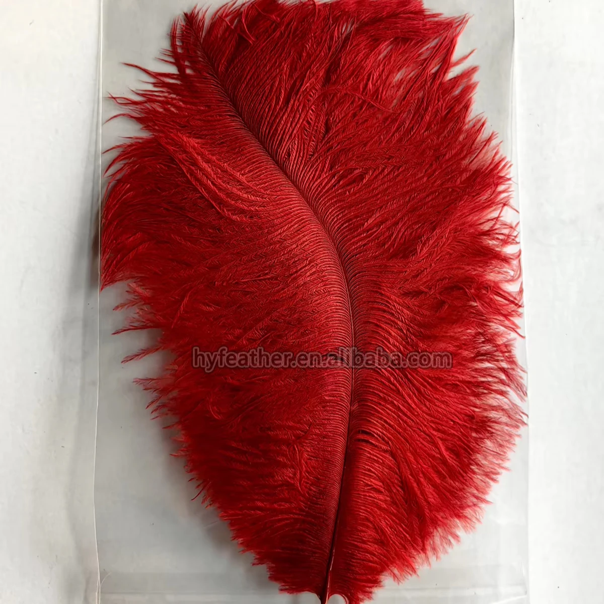 6pc Package Red Long White Ostrich Feather for DIY Craft Hair Costume Fishing Accessory Fly Tying Material Ornament Fringe Decor