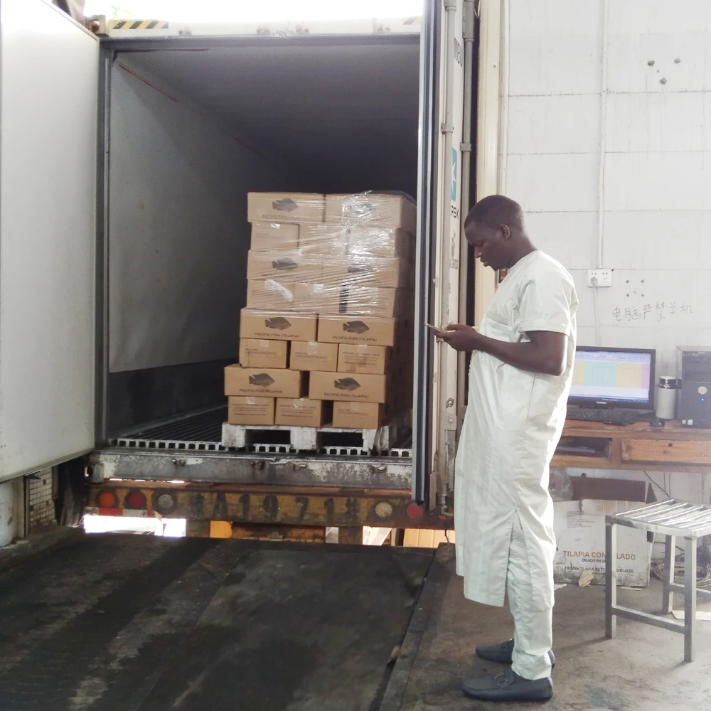 Frozen Fresh Black Tilapia Fish Whole Round For Sale   Frozen Seafoods And Frozen Food Exporter Whole Fresh Tilapia Fish
