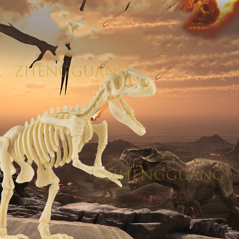 Zhengguang Dinosaur Dig Kit for Kids Dino Fossil Skeleton for Children Excavation Science Education DIY Toys