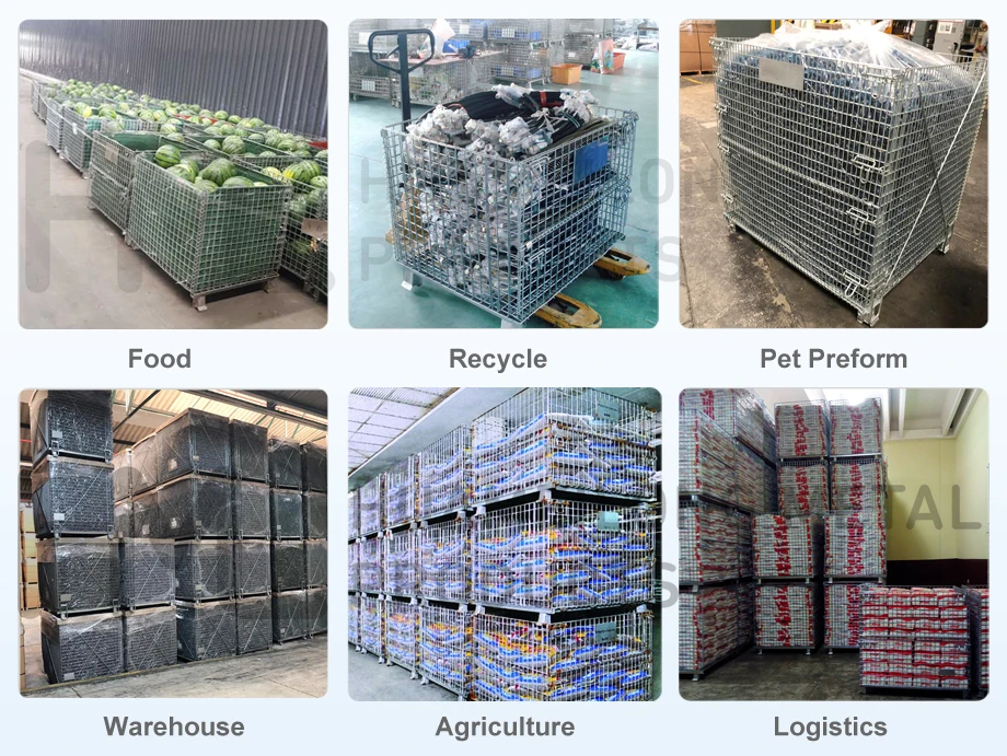 wire mesh cage-W
