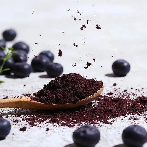 Best Price Hot Sale Organic Natural Fresh Bulk Maqui Berry Powder