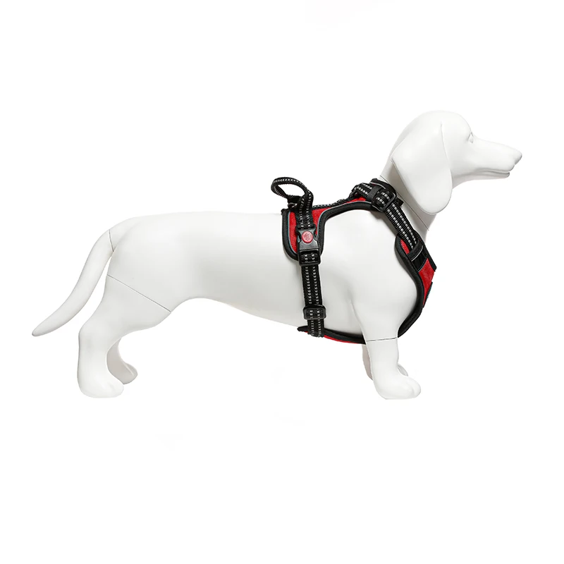 LC-W Full Body Dachshund Dog Model Pet Dog Model Educational Dog