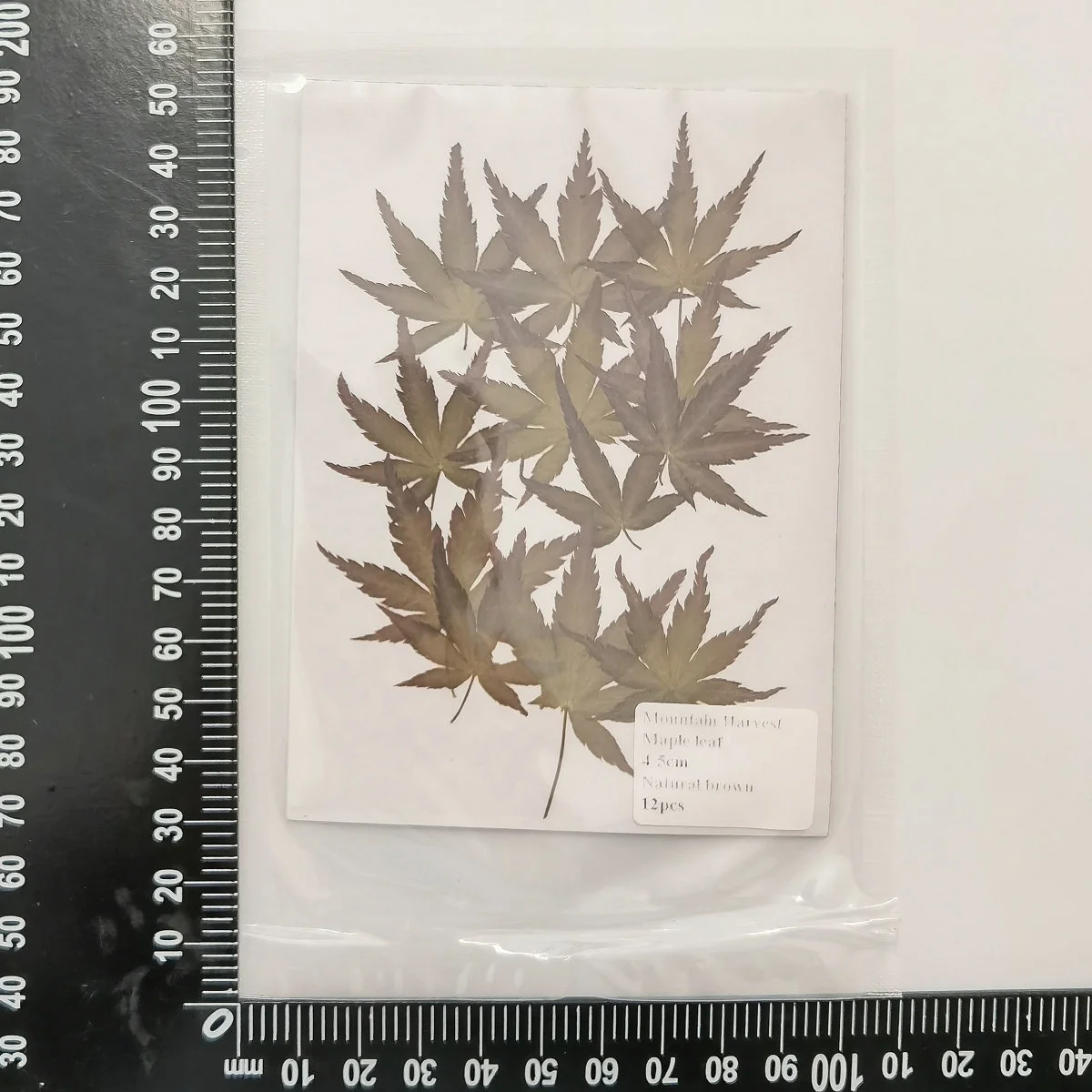 12pcs/pack Maple Leaf Autumn Color Series Pressed Leaf For Photo Paint Frame Resin DIY Craft