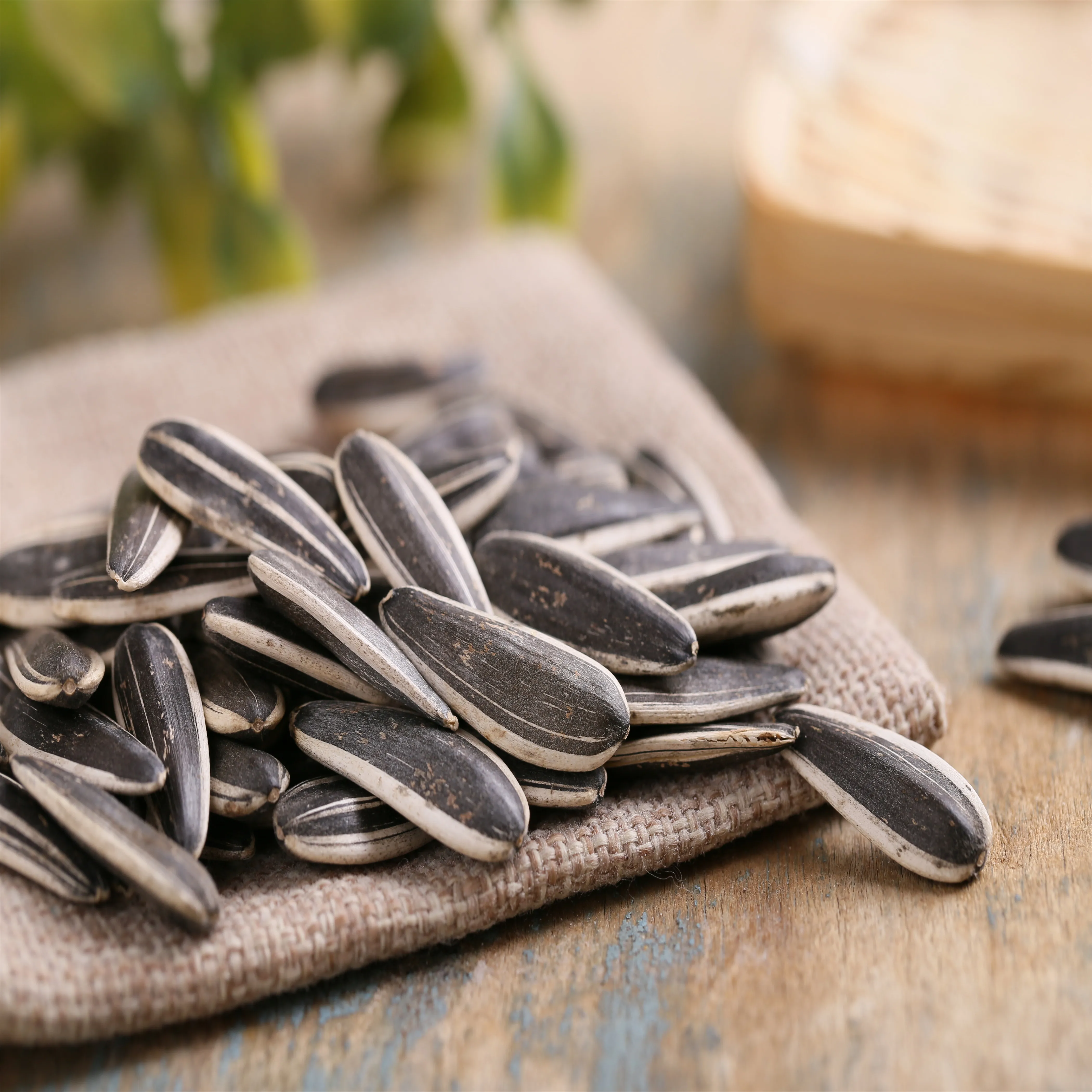 Market cheap fresh raw hybrid dried quality Assurance Factory Supplies sunflower seed bird food