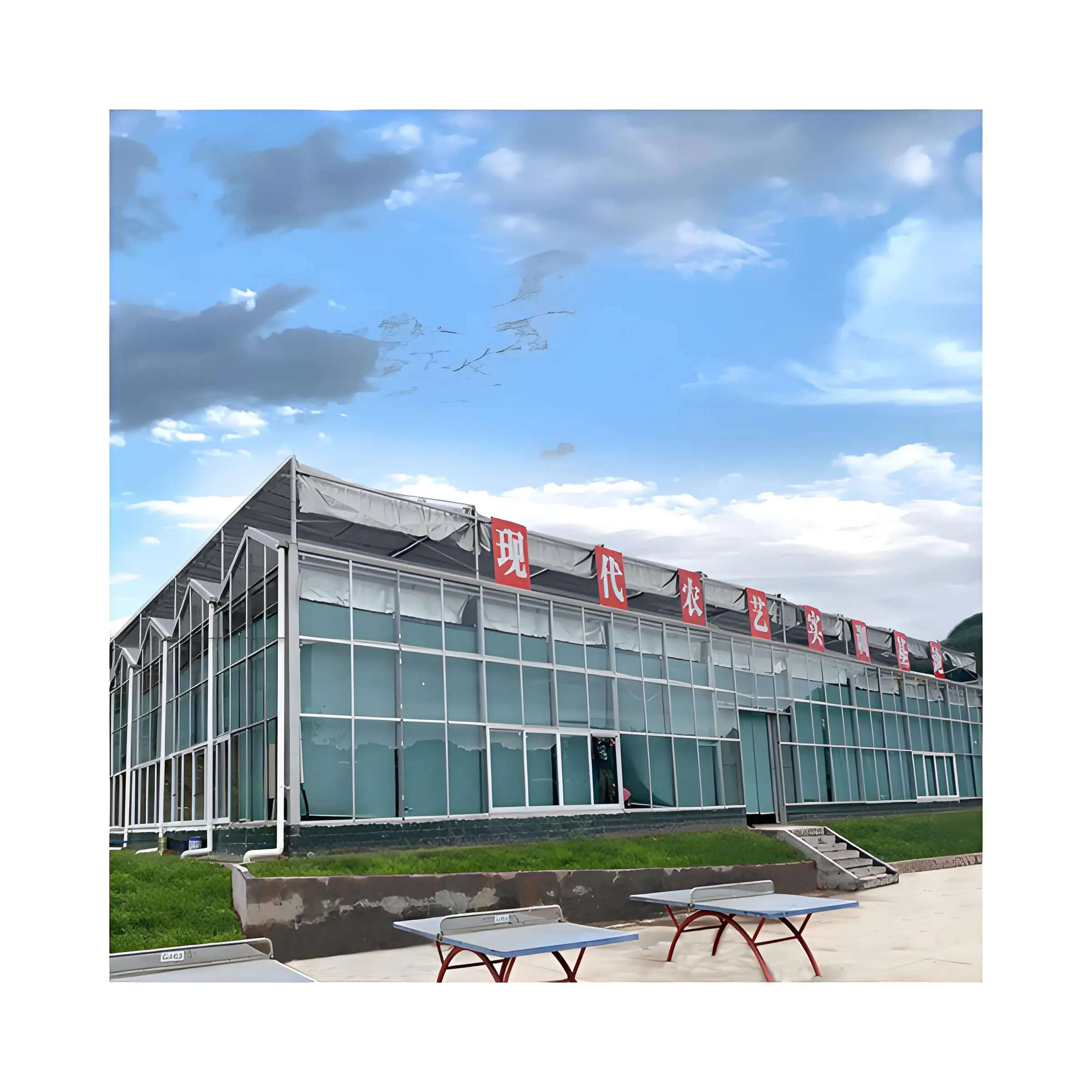 Modern Style High-Efficient Agricultural Greenhouse Hydroponic Growing System for Seed Raising  Glass Green house
