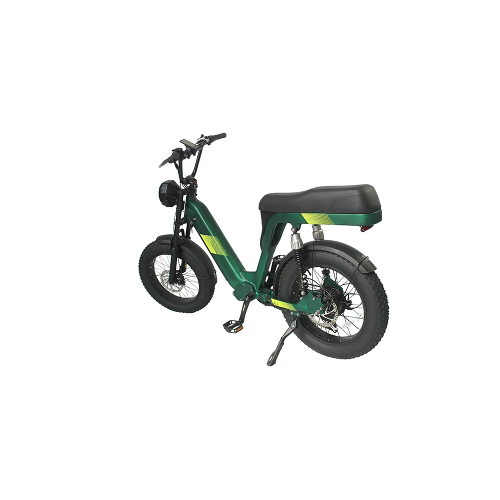 High Grade 20 Inch Electr Fat Tire Bike Electrical Bicycle Bicicletas Electric City Mountain Street Bike