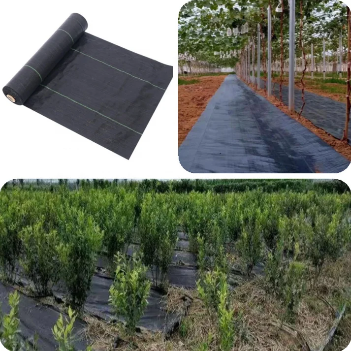Factory price Polypropylene Woven Geotextile Plastic Woven Weed Control Mat / PP Ground Cover