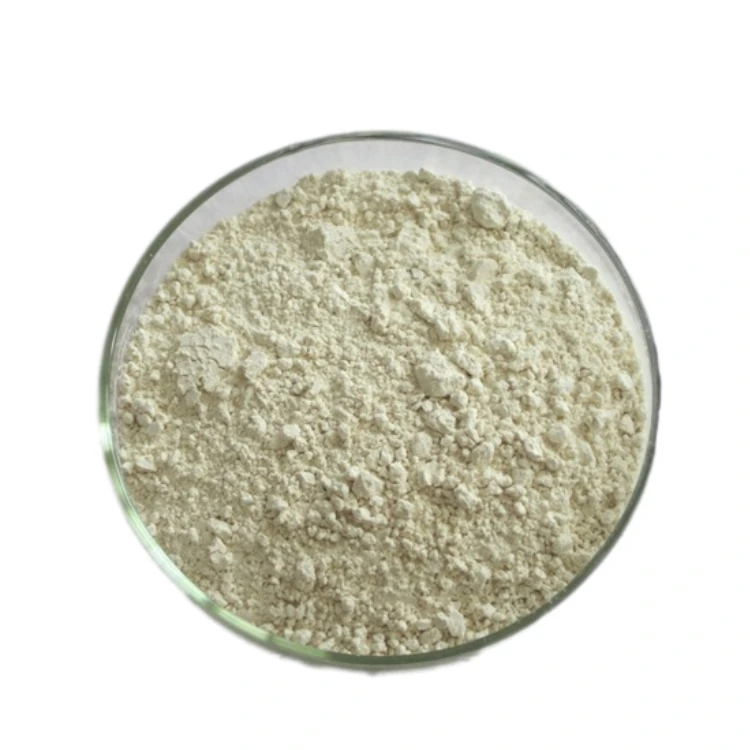 
Cas11138-66-2 High Quality Best Price Food Grade Xanthan Gum 