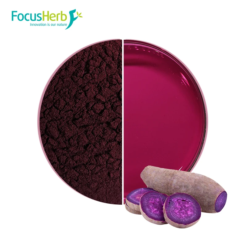 
FocusHerb Food Color E60 Purple Sweet Potato 