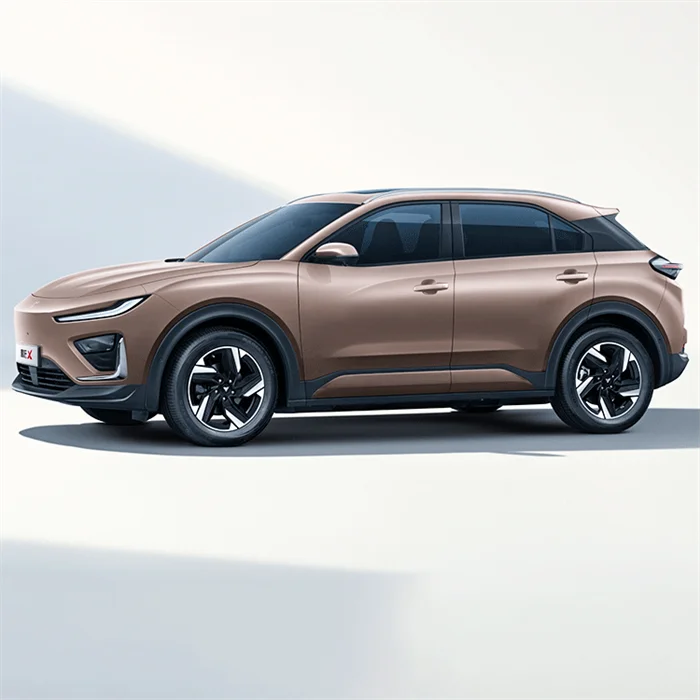Neta X 2025 500 плюс большие Электрические автомобили Китай лидер продаж новые энергетические V S 2024 новых автомобилей