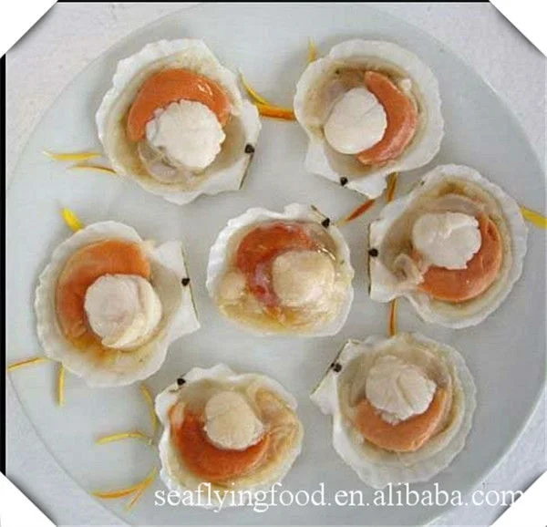 Wholesale Seafood Half Shell Scallop Frozen Sea Scallop