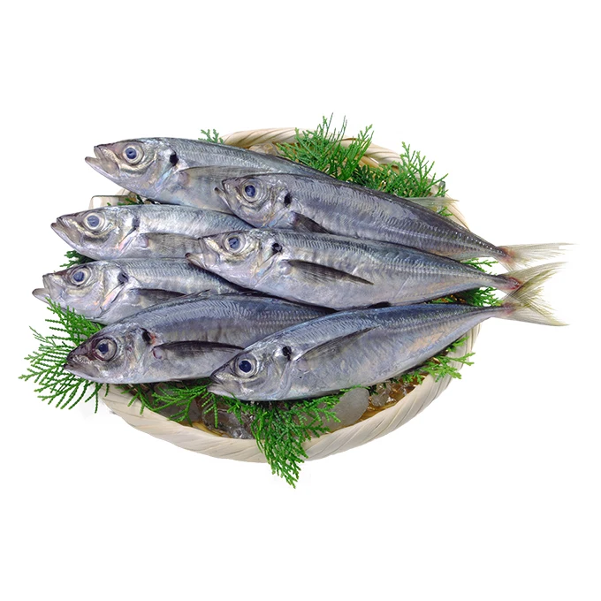 Hot sale Japanese seafoods horse mackerel platter slide sashimi